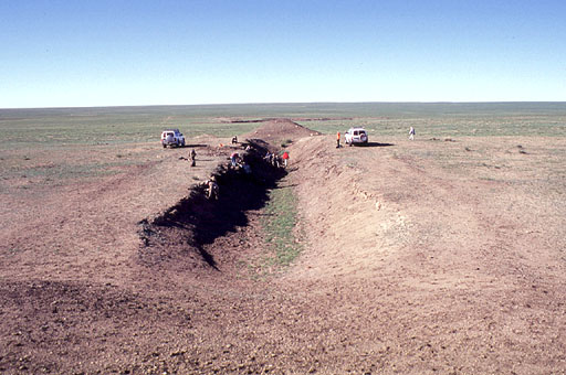 Excavation Field 2005