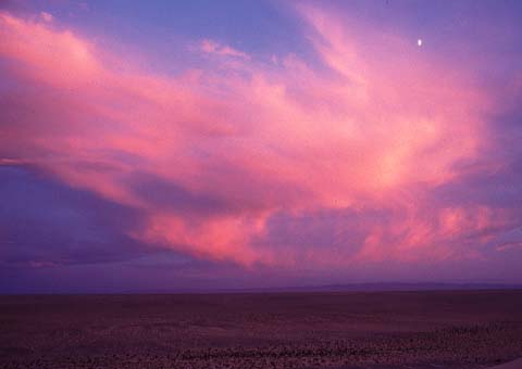 [Half Moon in Twilight]