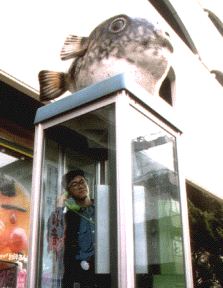 Blowfish Box in Shimonoseki