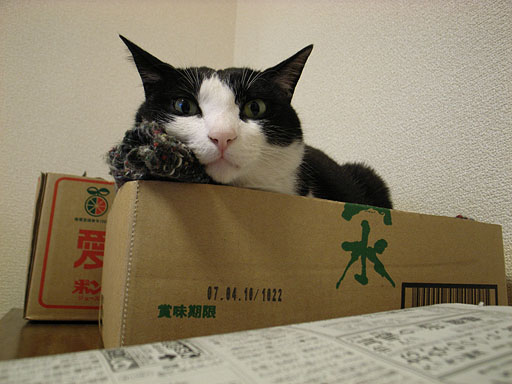 Mon In Box