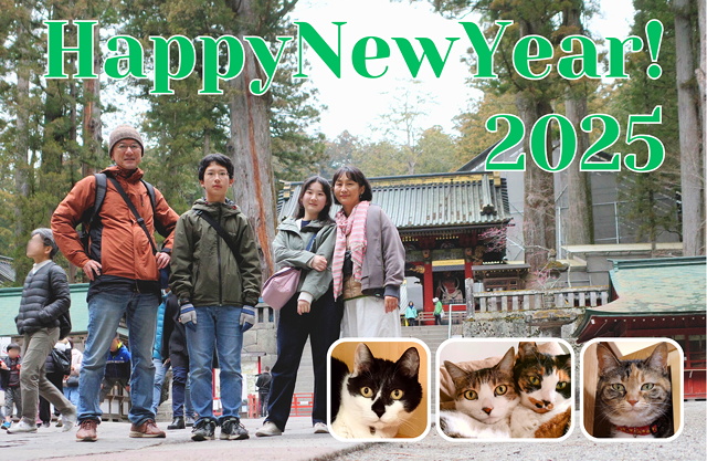 New Year Card 2025 from MINEW