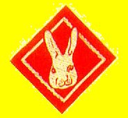 ̃Xebv