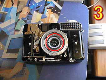 BUN_FUJICA_HALF BUN_FUJICA_HALF