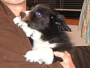 040131tom1.jpg