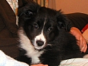 040131tom2.jpg
