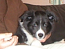 040131tom3.jpg