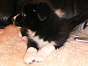 040131tom4.jpg