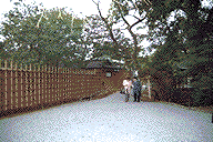 43.GIF