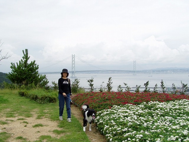 05091105.jpg