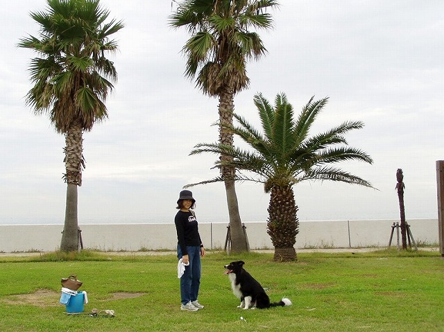 05091110.jpg