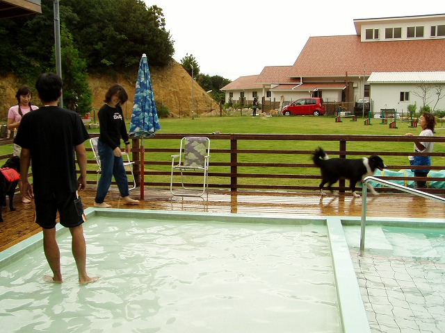 05091129.jpg
