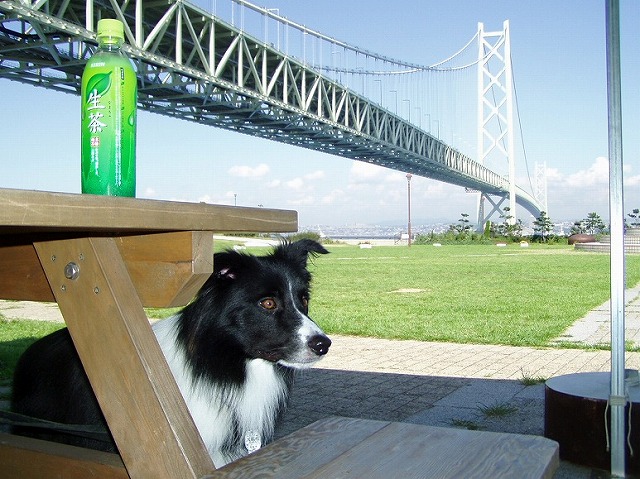 05091223.jpg