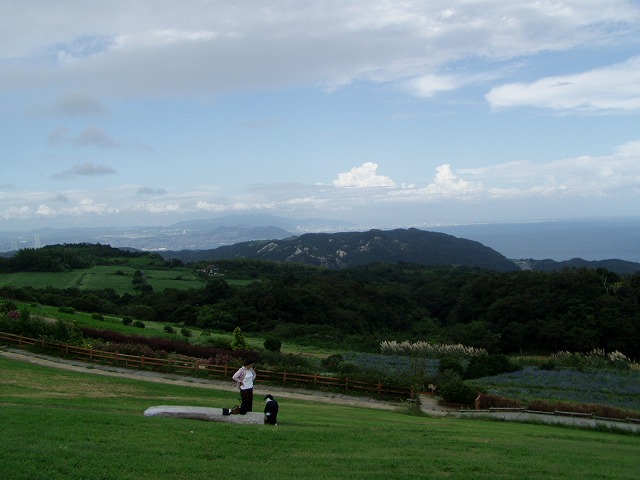 P9090005.jpg