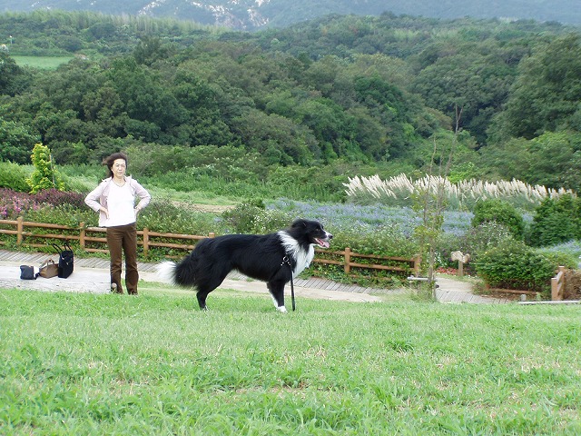 P9090006.jpg