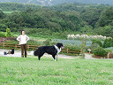 P9090006_thumb.jpg
