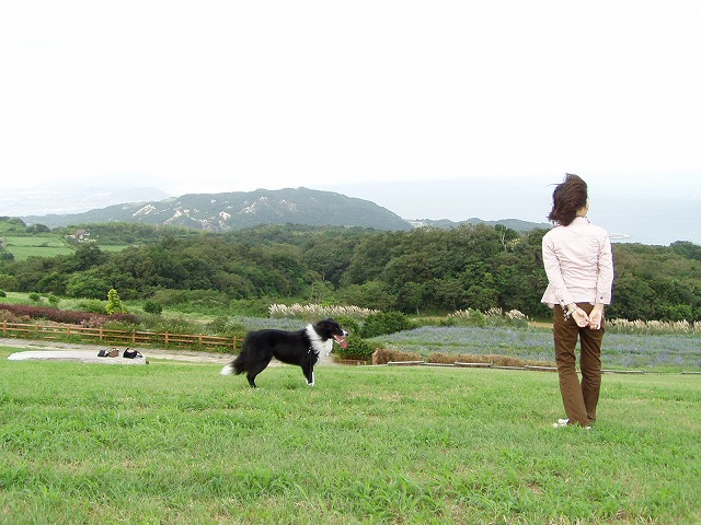 P9090009.jpg