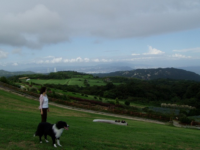 P9090012.jpg