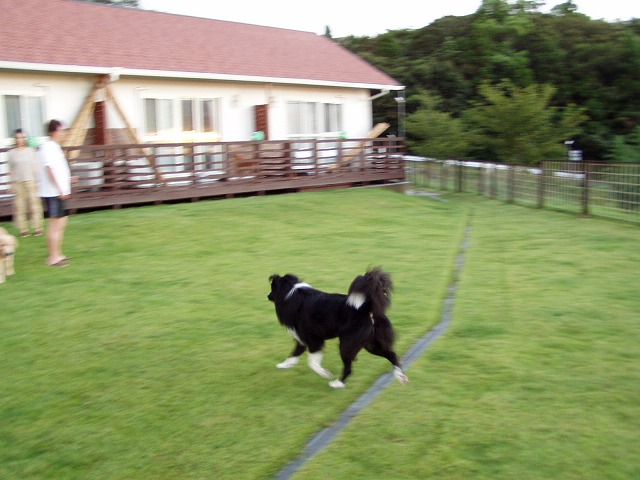 P9100031.jpg
