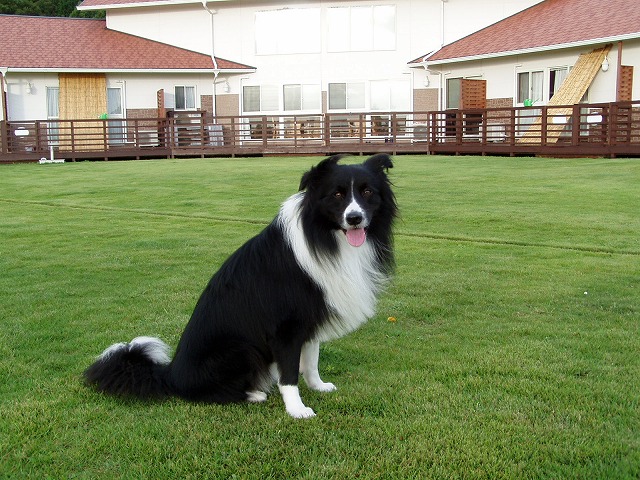 P9100033.jpg