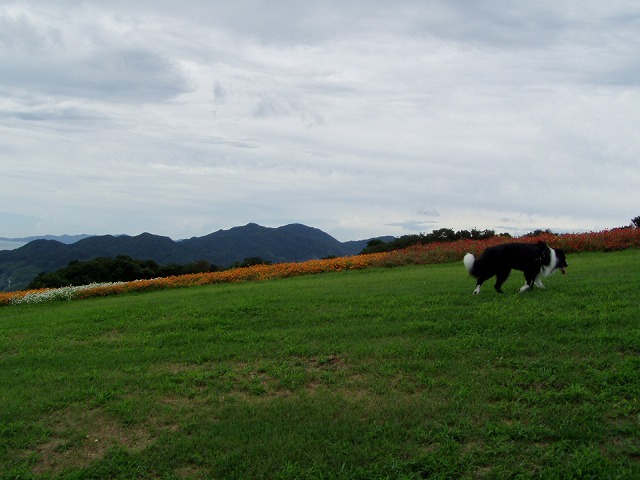 P9100039.jpg