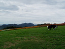 P9100039_thumb.jpg