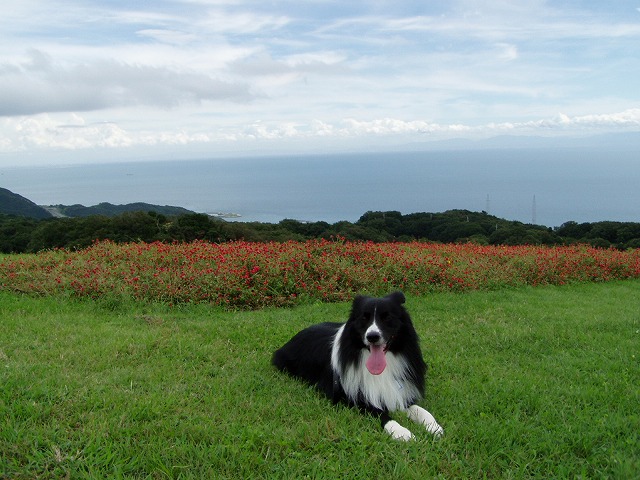 P9100048.jpg