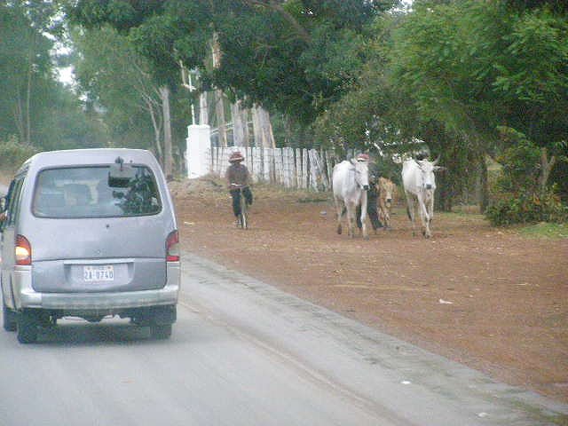 pc290665.jpg