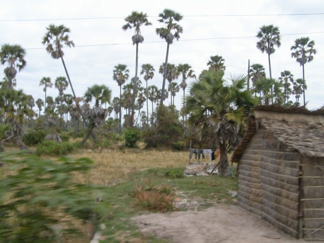 pc280170.jpg