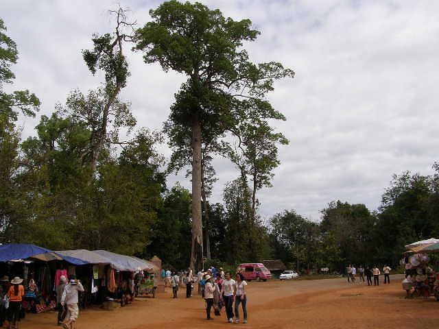 pc280250.jpg