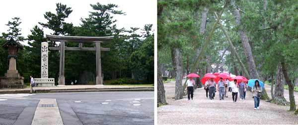 出雲大社鳥居