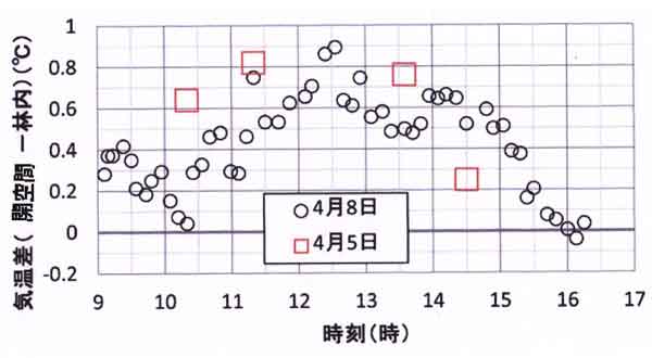 自然教育園4月5日、8日