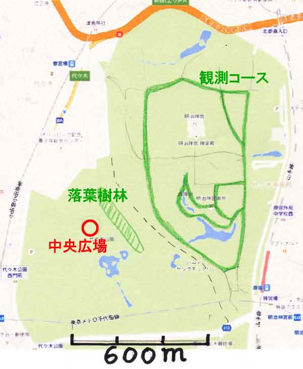 神宮の森の地図