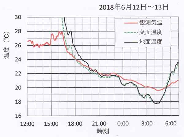 放射や気温など、6月12～13日