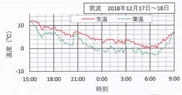 12月17日