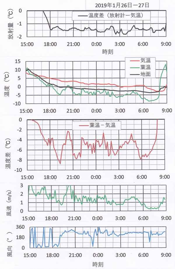 1月26日