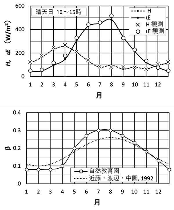 教育園日中、熱収支量とβの季節変化