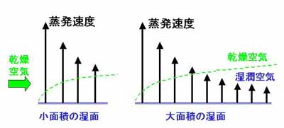 大小の蒸発面