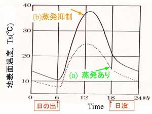 乾・湿地表面温度日変化