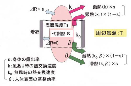 人体の熱収支模式図