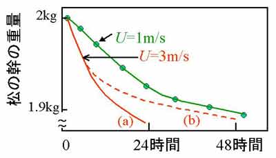 松の幹の蒸発実験