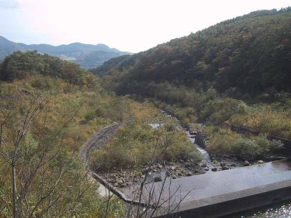 秋山沢川2007年その１