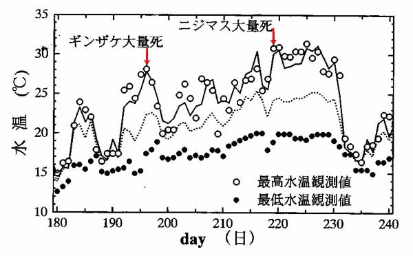 最高水温の計算と観測