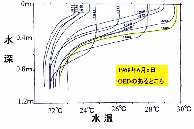 内沼の水温2