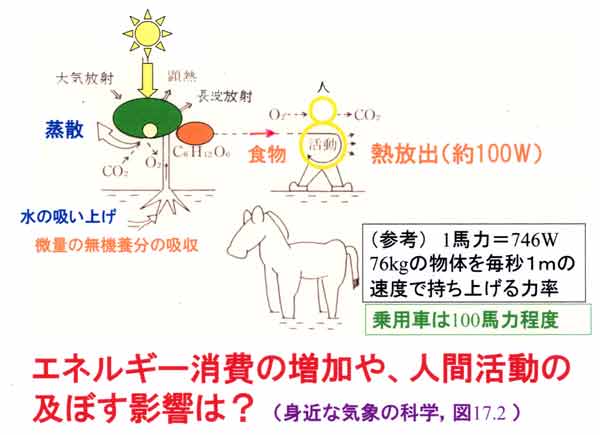 太陽・作物・人体・大気間のエネルギーの流れ