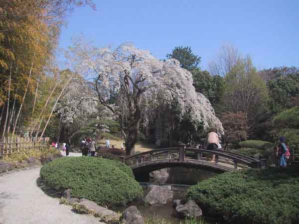 日本庭園