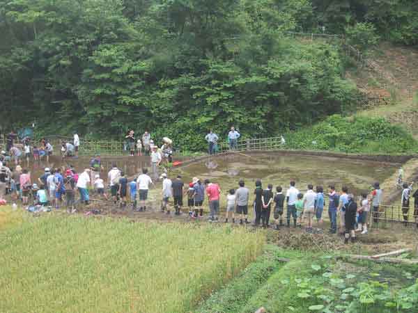 田植え風景