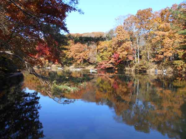 斜面の公園