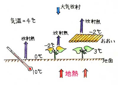 凍霜害説明