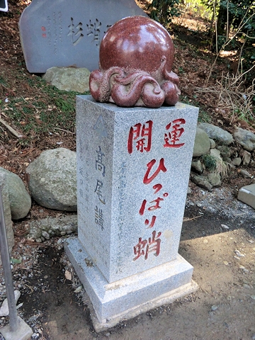 ひっぱり蛸