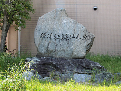 h_mukainada2.jpg(85356 byte)